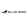 Favorite Blue Bird