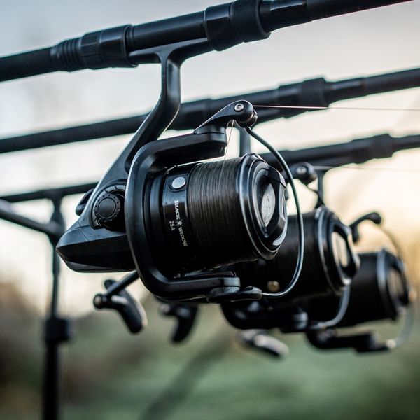 Катушка Daiwa Black Widow 25A 10133-225 фото