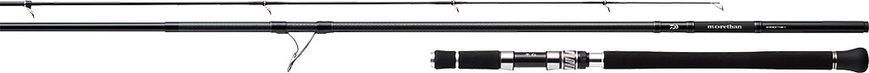 Спінінг Daiwa Morethan Wisemen 109M 3.28m MAX 50g 1480604 фото